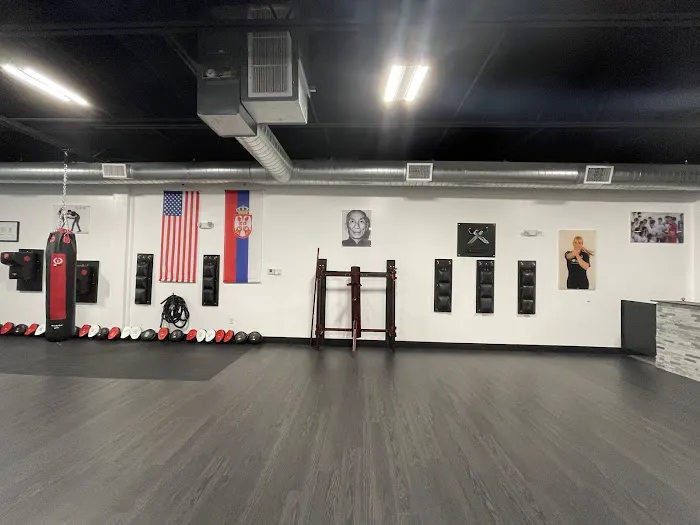 MY VLMA Martial Arts Center Drakulic Picture 10