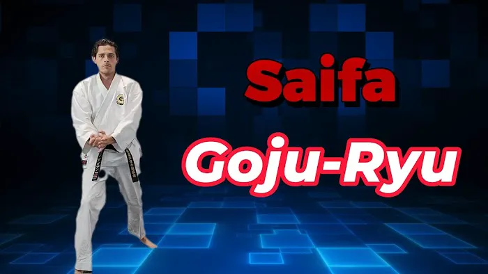 Martial Arts University Picture 4