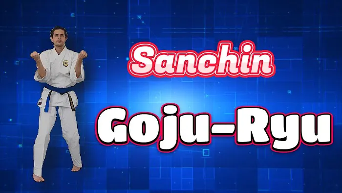 Martial Arts University Picture 2