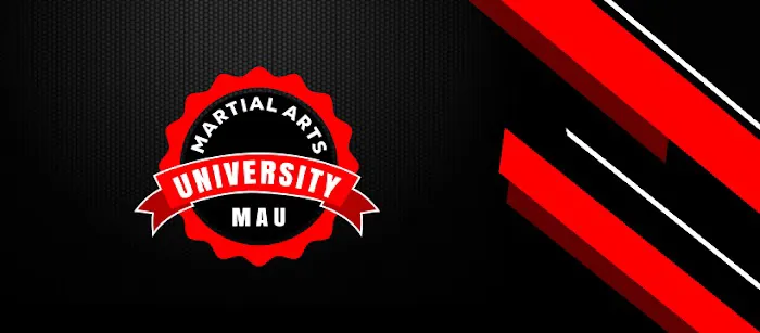 Martial Arts University Picture 6