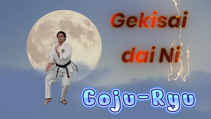 Martial Arts University Picture 5