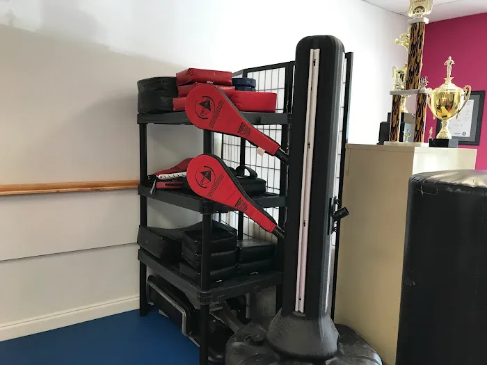 University Karate Center Picture 4