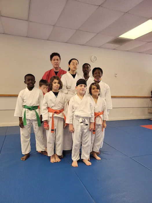 University Karate Center Picture 5