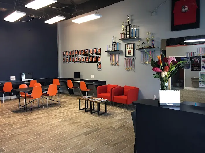 Level Up Taekwondo Davie Picture 3