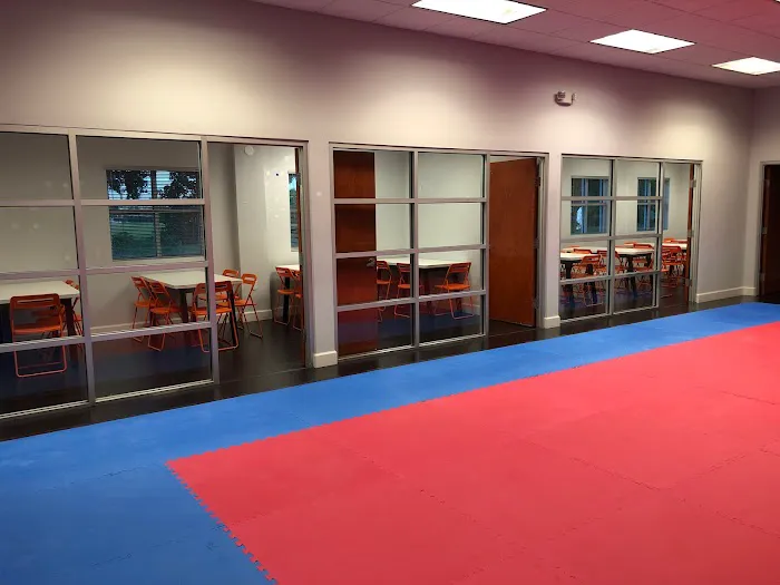 Level Up Taekwondo Davie Picture 7