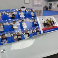 World Tigers Martial Arts TAEKWONDO ico