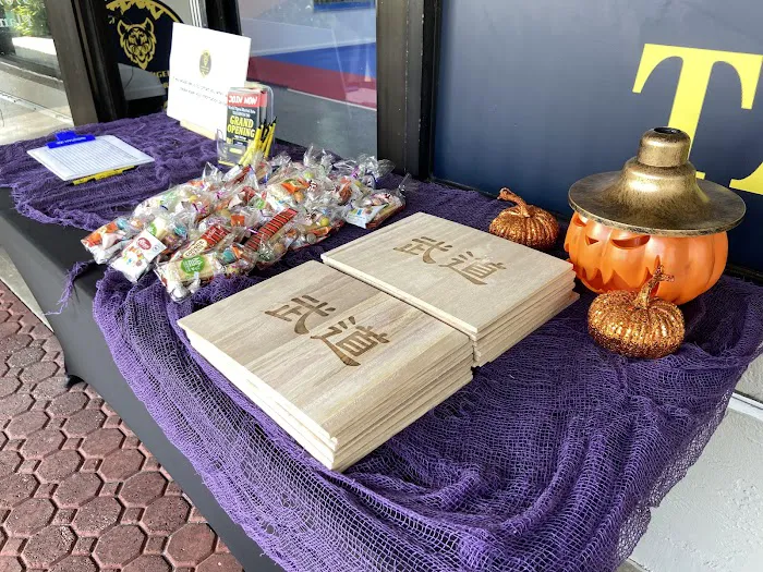 World Tigers Martial Arts TAEKWONDO Picture 5