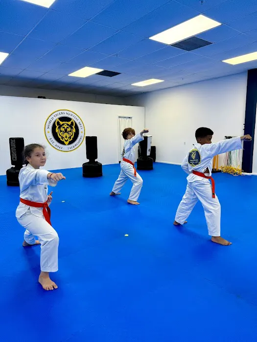 World Tigers Martial Arts TAEKWONDO Picture 2