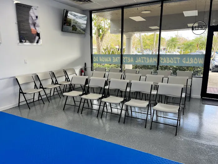 World Tigers Martial Arts TAEKWONDO Picture 3