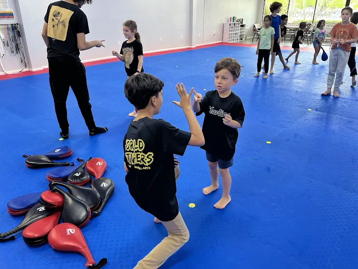 World Tigers Martial Arts TAEKWONDO Picture 7