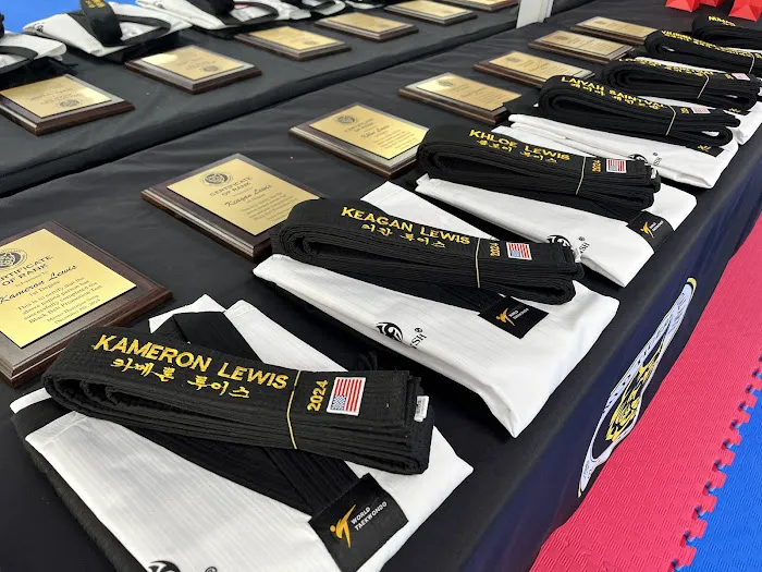 World Tigers Martial Arts TAEKWONDO Picture 10