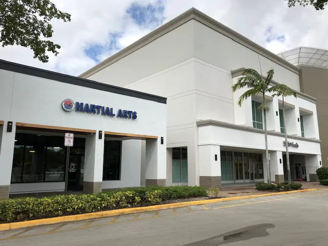 Korean Martial Arts Picture 1