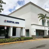 Korean Martial Arts ico