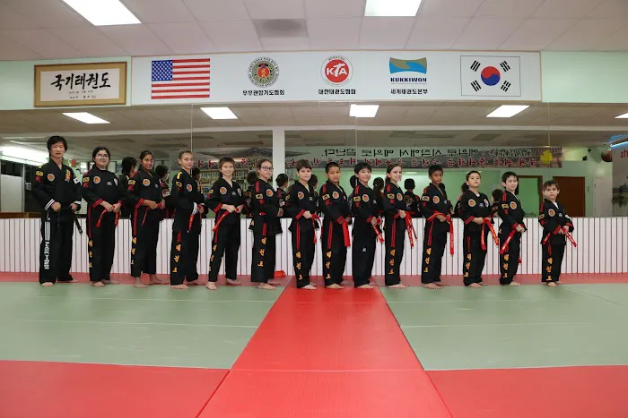 Korean Martial Arts Picture 5