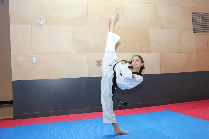 Korean Martial Arts Picture 4