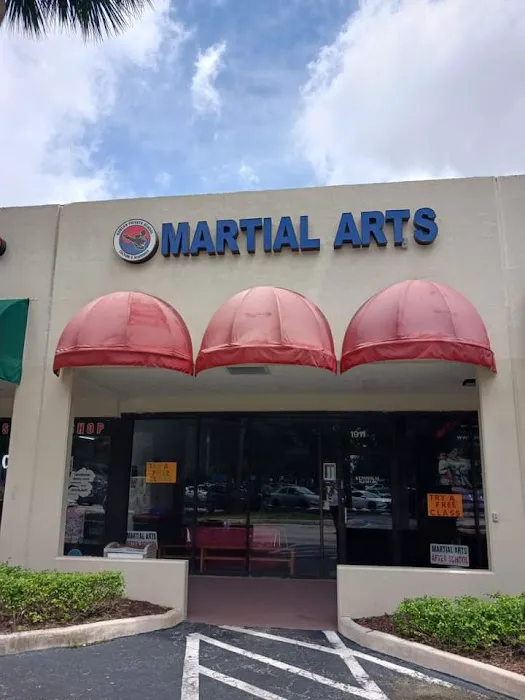 Korean Martial Arts Picture 8