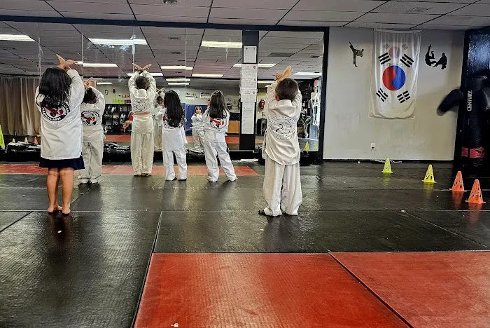 APMA Martial arts (American Pride) Picture 2