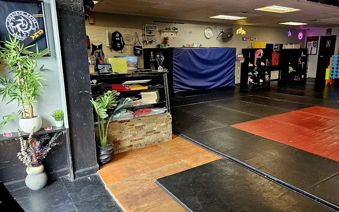 APMA Martial arts (American Pride) Picture 1