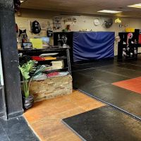 APMA Martial arts (American Pride) ico