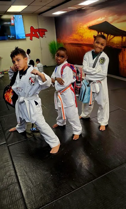 APMA Martial arts (American Pride) Picture 7