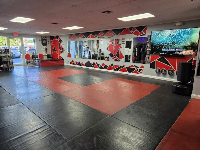 APMA Martial arts (American Pride) Picture 6