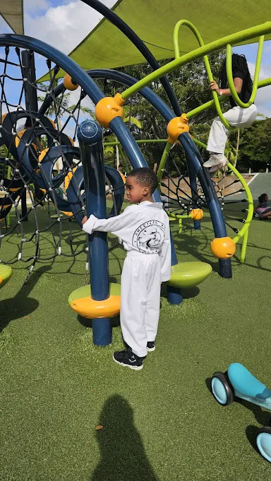 APMA Martial arts (American Pride) Picture 10