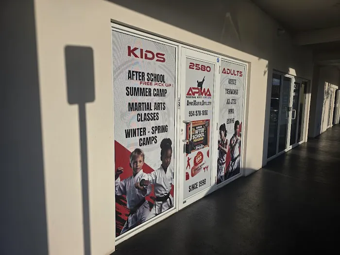 APMA Martial arts (American Pride) Picture 9