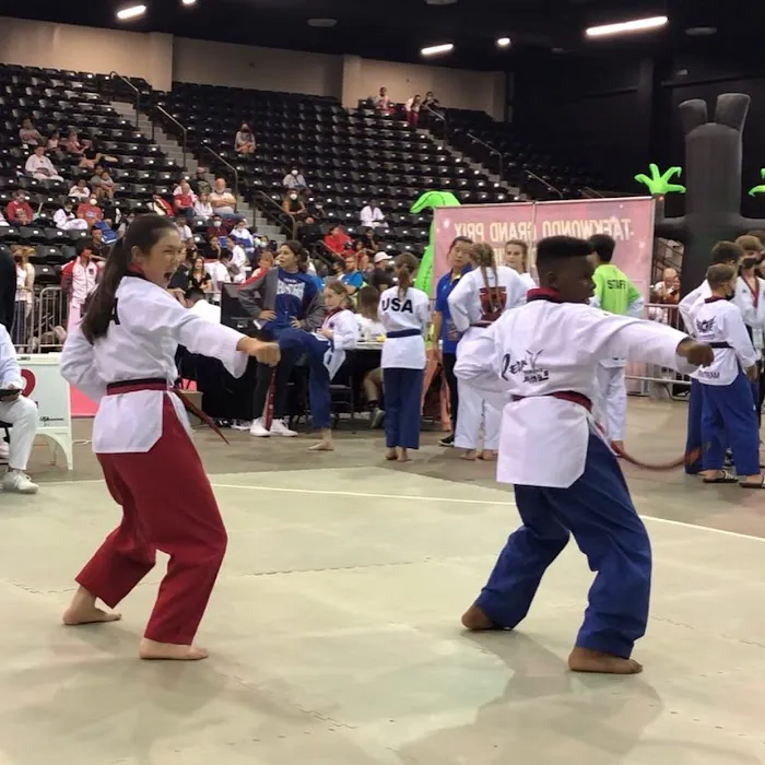 Peak Performance Taekwondo Academy Picture 3