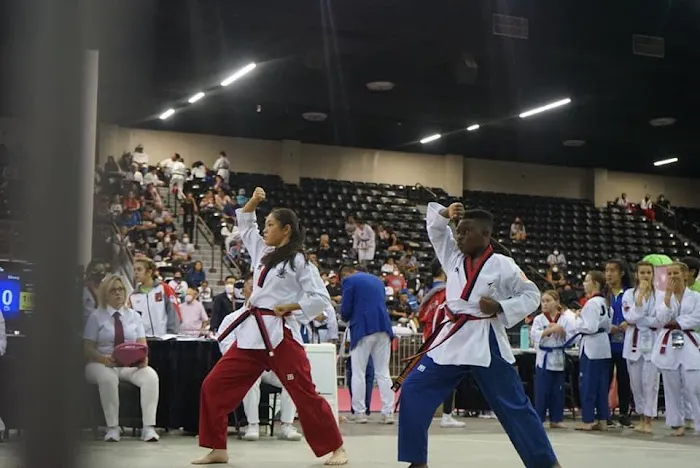 Peak Performance Taekwondo Academy Picture 5