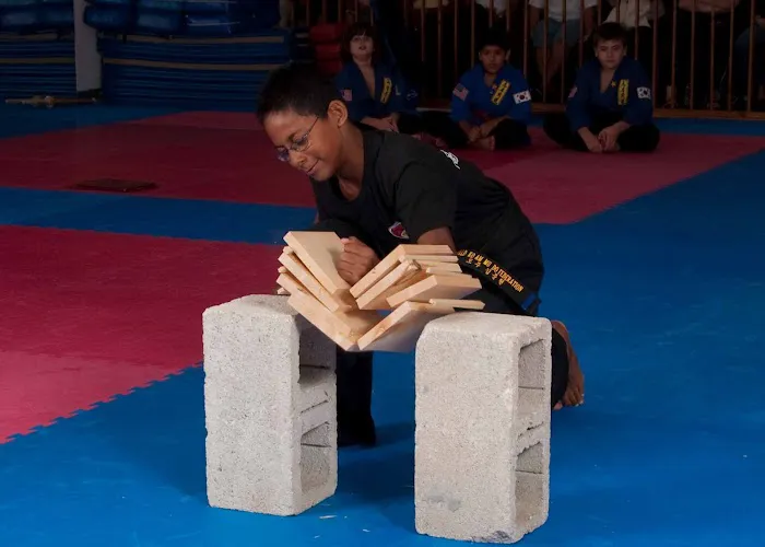Stone Mountain Taekwondo Academy Picture 2