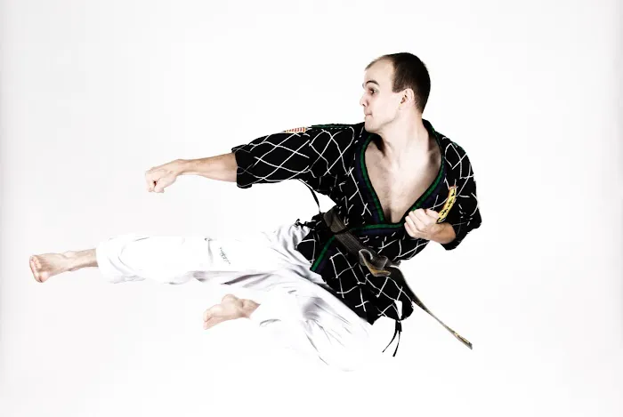 Stone Mountain Taekwondo Academy Picture 4