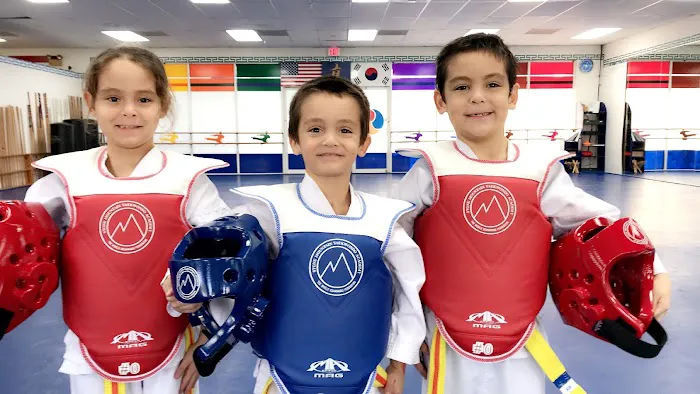 Stone Mountain Taekwondo Academy Picture 1