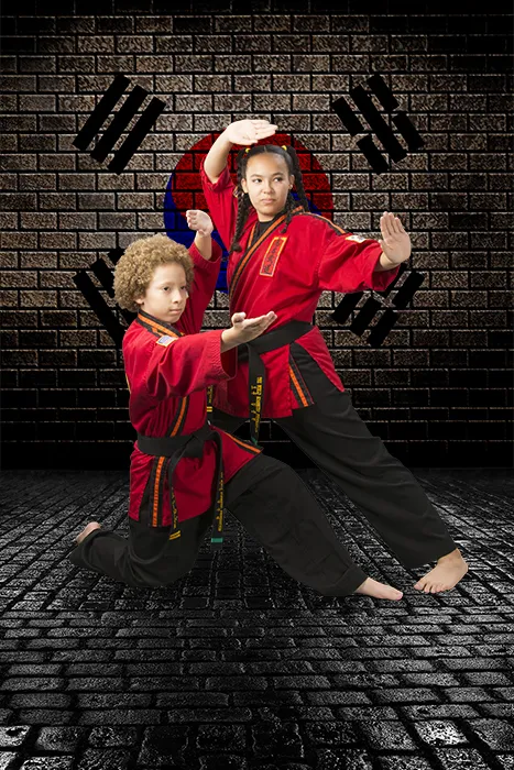 Stone Mountain Taekwondo Academy Picture 5