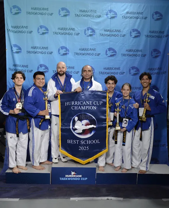 Stone Mountain Taekwondo Academy Picture 6