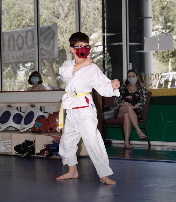 Stone Mountain Taekwondo Academy Picture 8