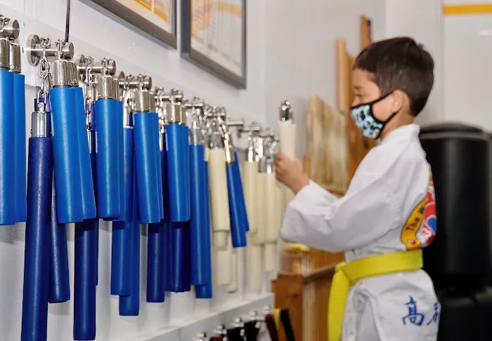 Stone Mountain Taekwondo Academy Picture 7