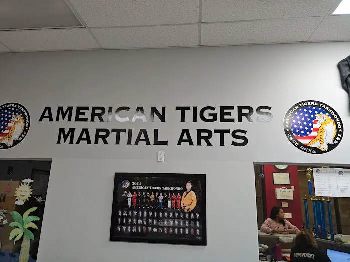 American Tigers Martial Arts Picture 2