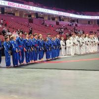 American Tigers Martial Arts ico