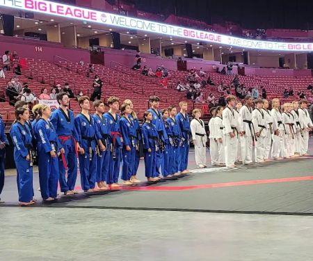 American Tigers Martial Arts