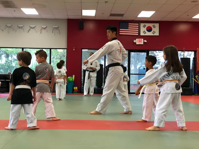 American Tigers Martial Arts Picture 8