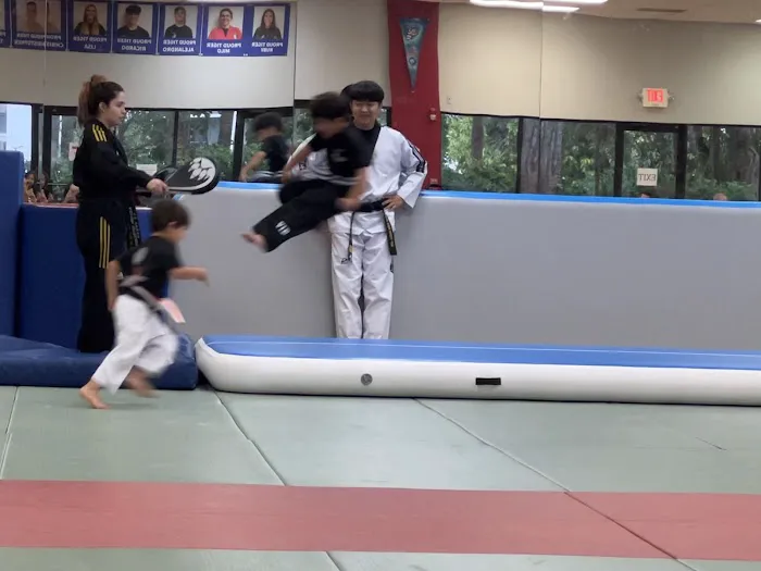 American Tigers Martial Arts Picture 4