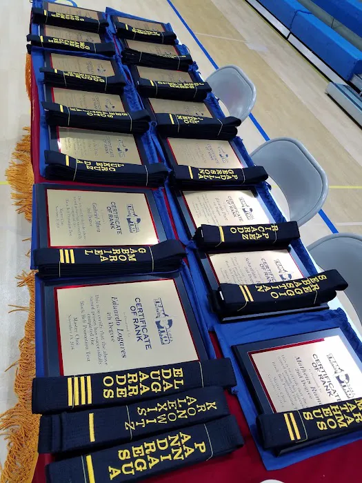 Team Taekwondo Picture 5