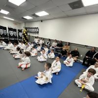 Integrity Martial Arts Country Walk ico