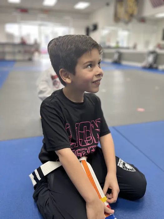 Integrity Martial Arts Country Walk Picture 5