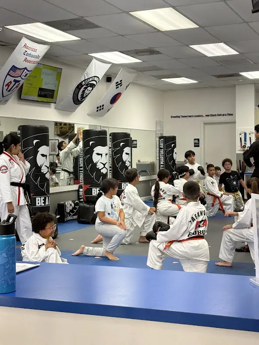 Integrity Martial Arts Country Walk Picture 9