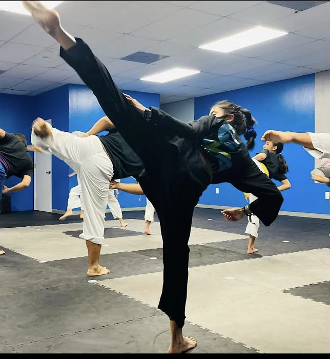 Epic Martial Arts Academy Picture 1