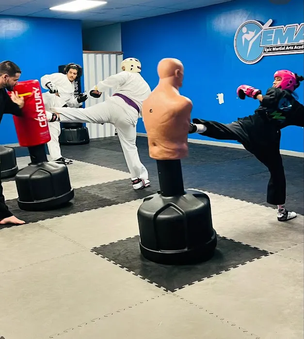 Epic Martial Arts Academy Picture 7