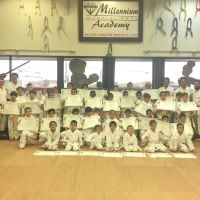 Millennium Martial Arts Academy ico