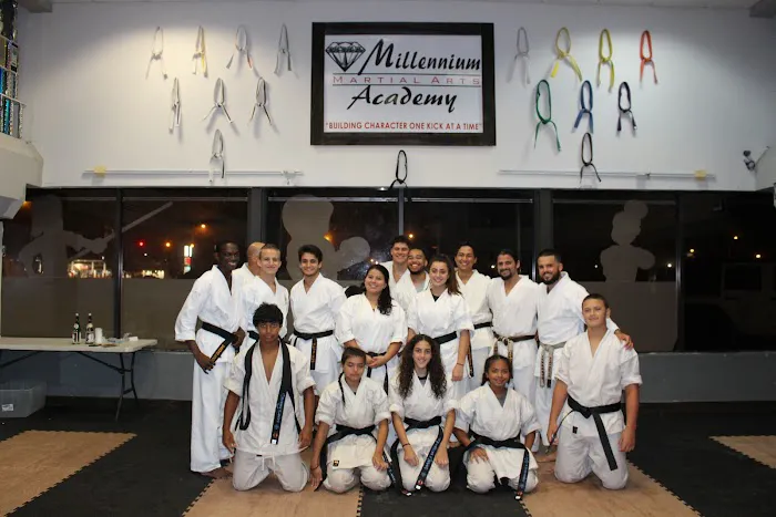 Millennium Martial Arts Academy Picture 4