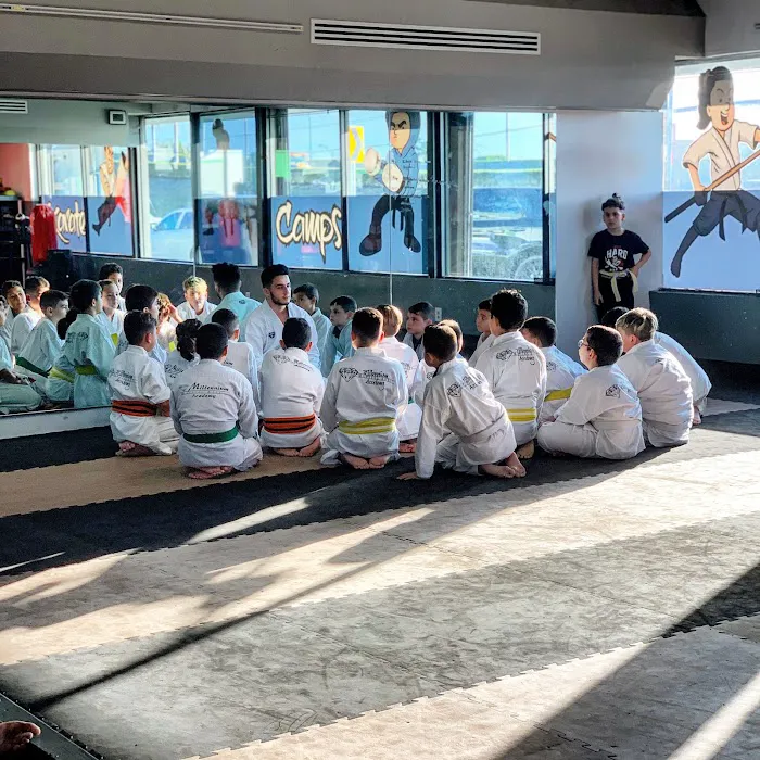 Millennium Martial Arts Academy Picture 3